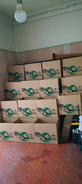 carton de déménagement 