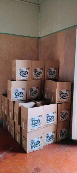 petit carton de livre pour déménager 